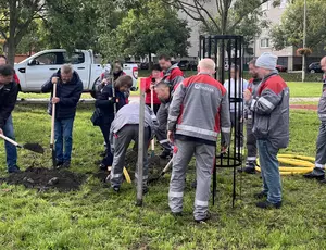 Veolia Cares 2025 faültetés