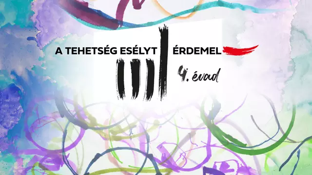 Tehetség esélyt érdemel 4. évad