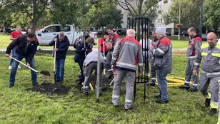 Veolia Cares 2025 faültetés